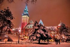subotica (6)